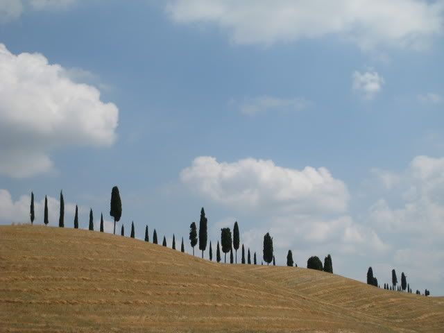 Tuscany228.jpg