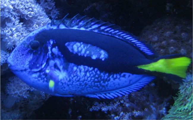 IMG_2612.jpg