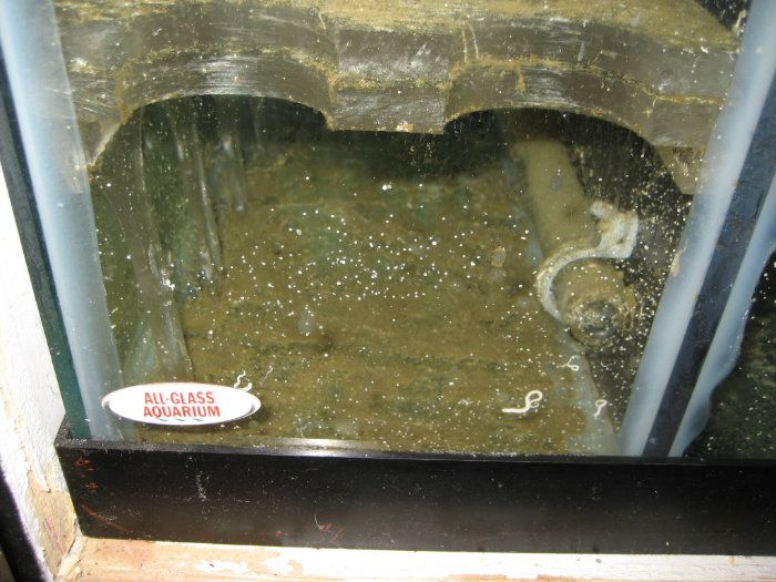 Sump-skimmersection.jpg