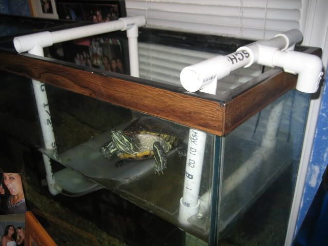 TurtleIslandComplete.jpg