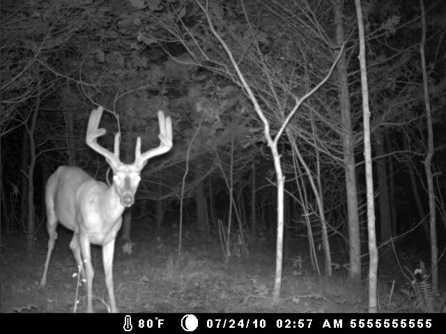 Big10pt2010.jpg