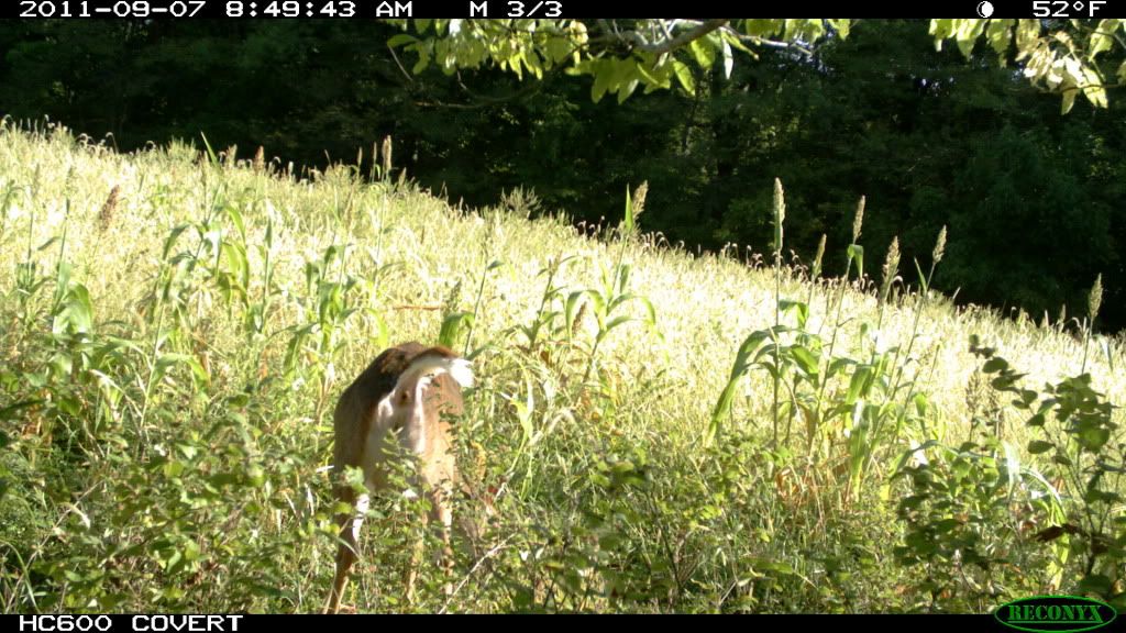 IMG_0609.jpg