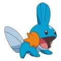 Mudkip Avatar Pictures, Images and Photos