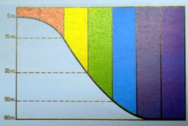 Chronomatic scale