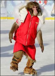 skating_monkey.jpg