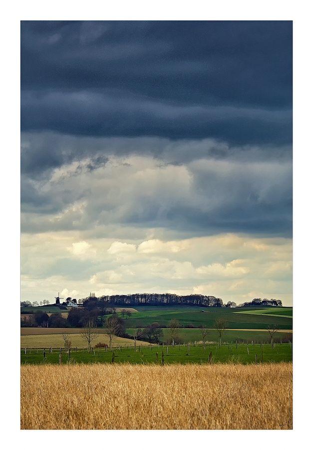 Fotografie