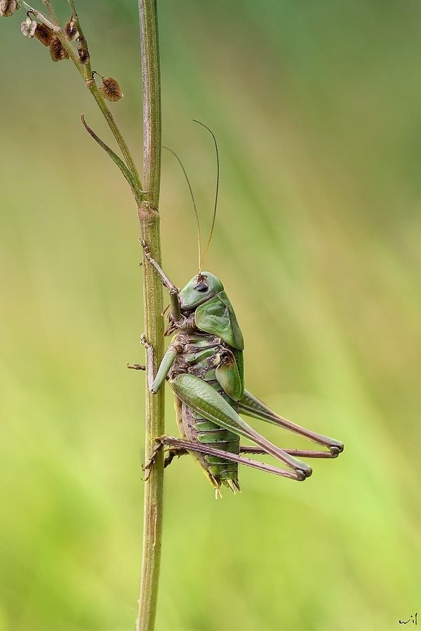 Fotografie