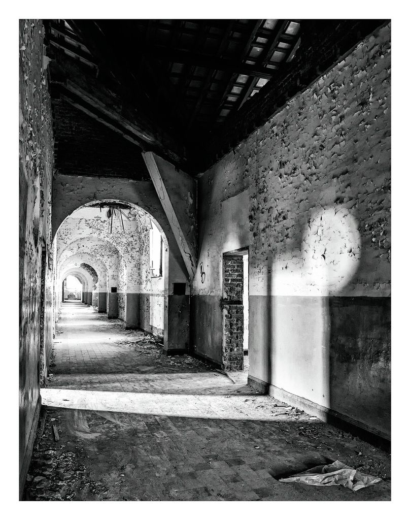 Fotografie