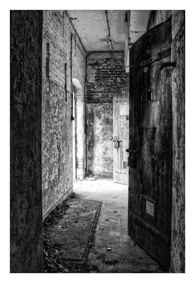 Fotografie
