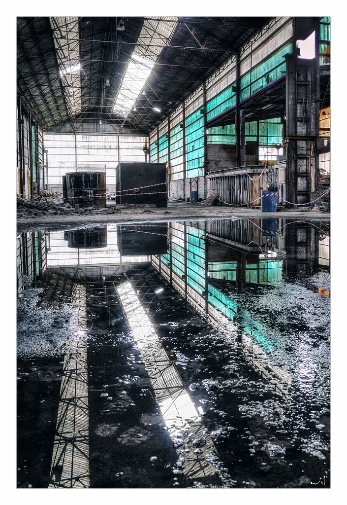 Fotografie