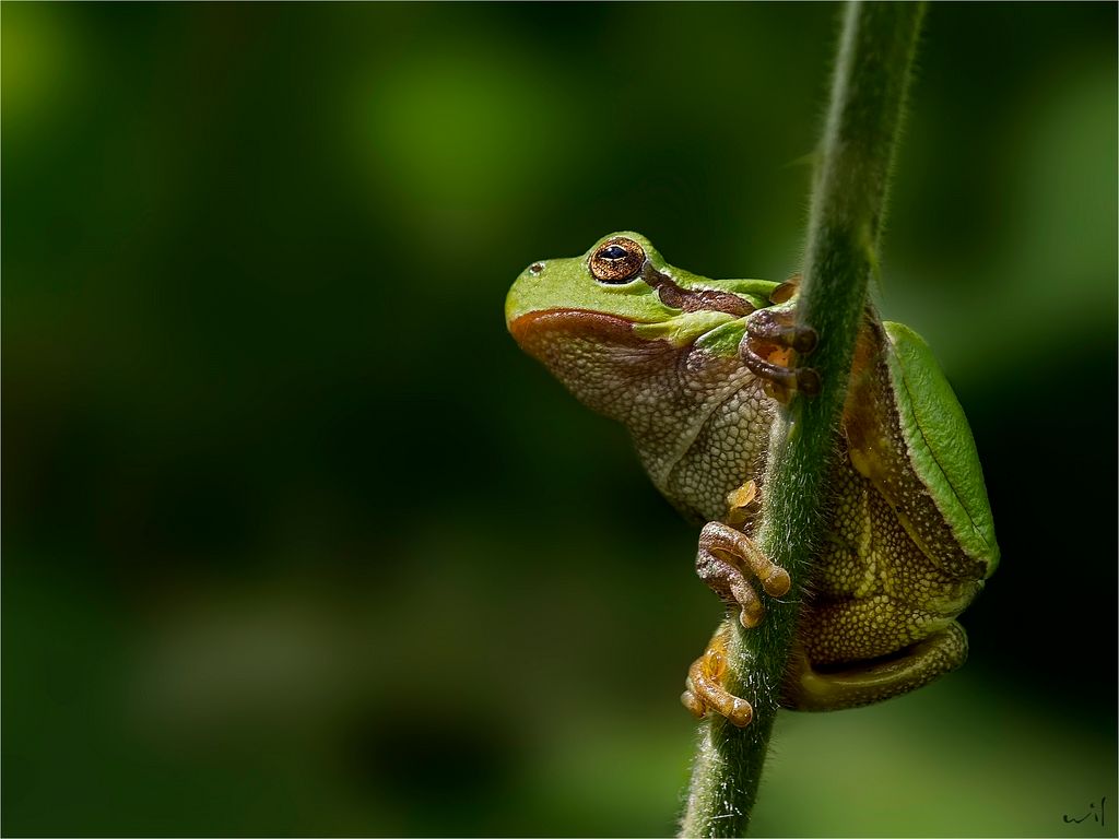 Fotografie
