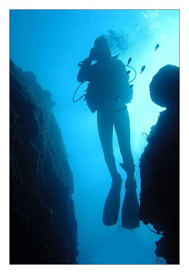 Fotografie