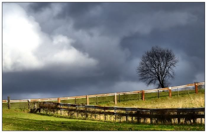 Fotografie