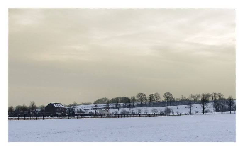 Fotografie