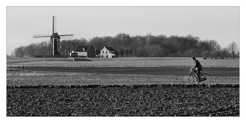 Fotografie