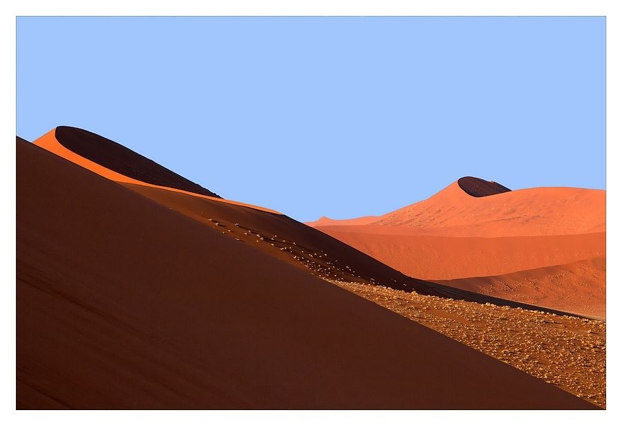Fotografie