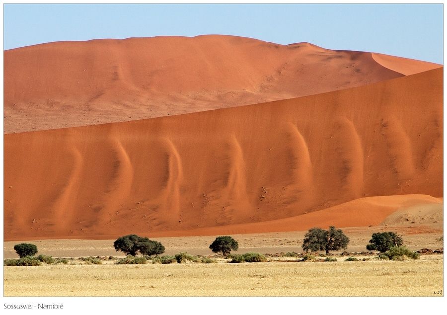 Fotografie