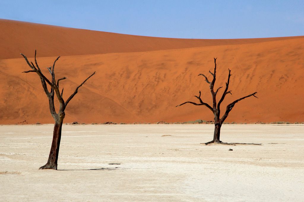Fotografie