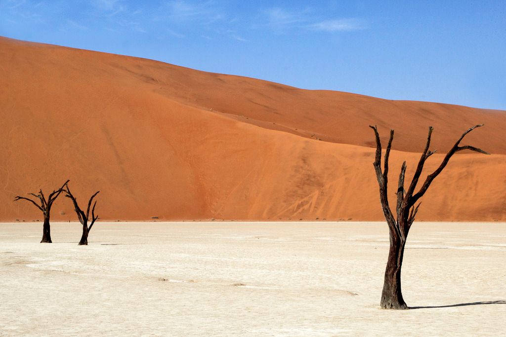 Fotografie