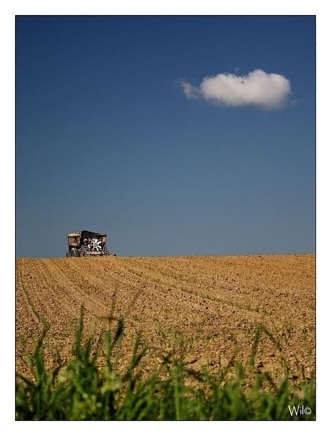 Fotografie