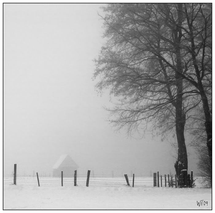 Fotografie