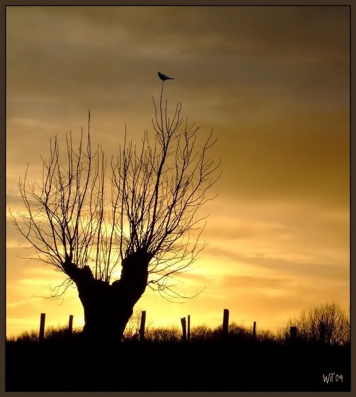 Fotografie