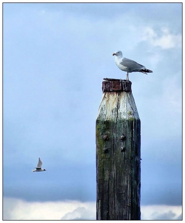 Fotografie