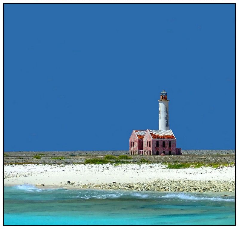 Fotografie