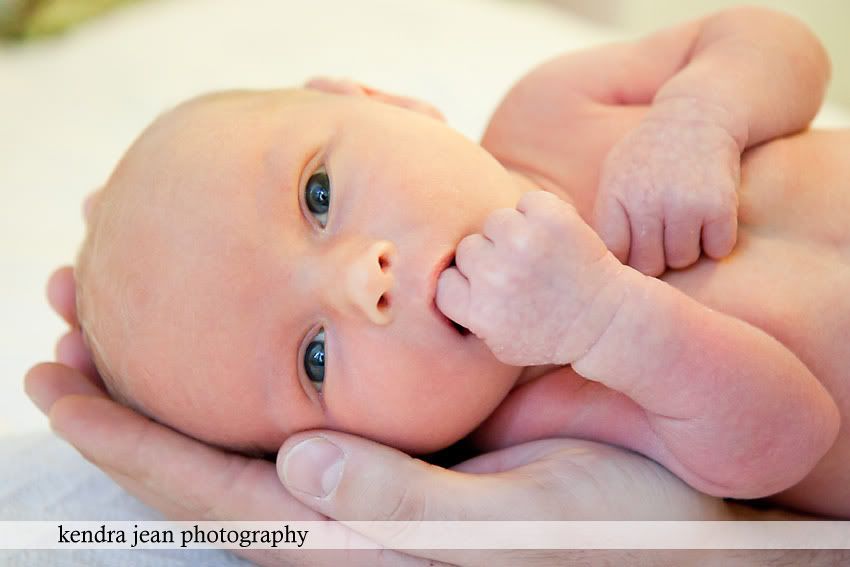 anthem newborn photographer