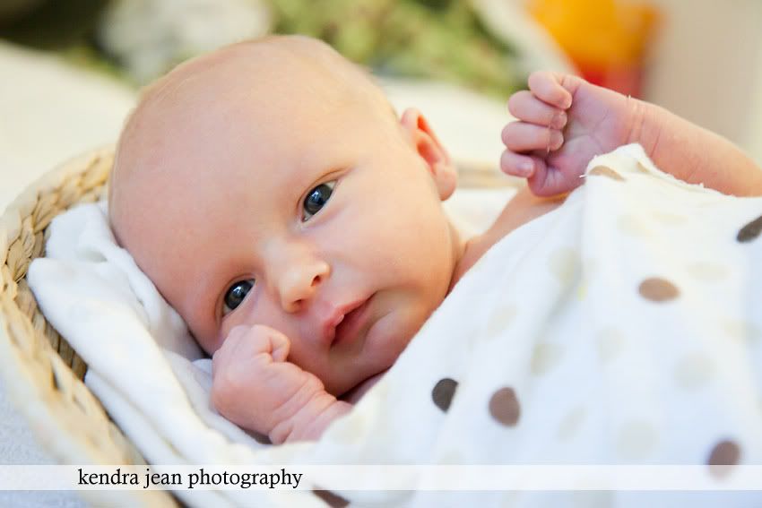 anthem newborn photographer