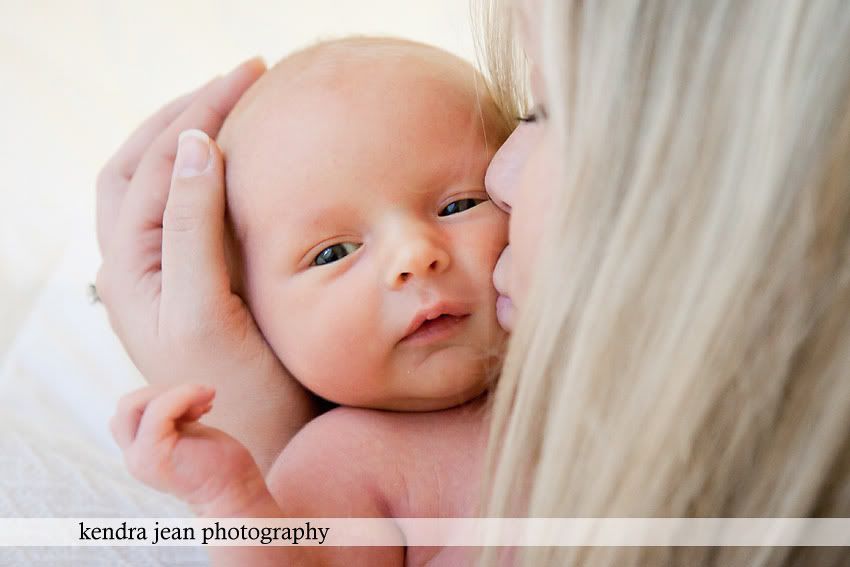 anthem newborn photographer