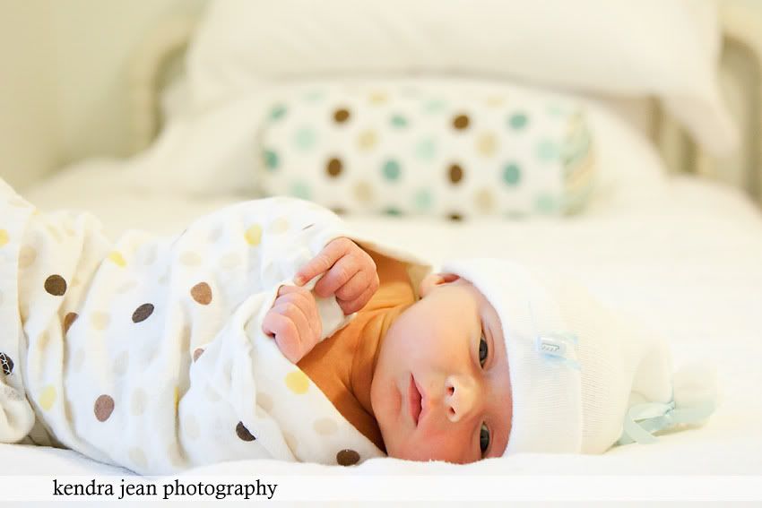 anthem newborn photographer