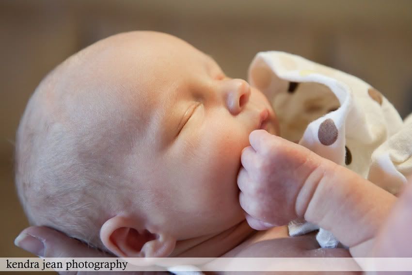 anthem newborn photographer