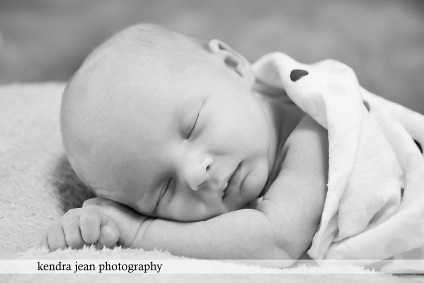 anthem newborn photographer