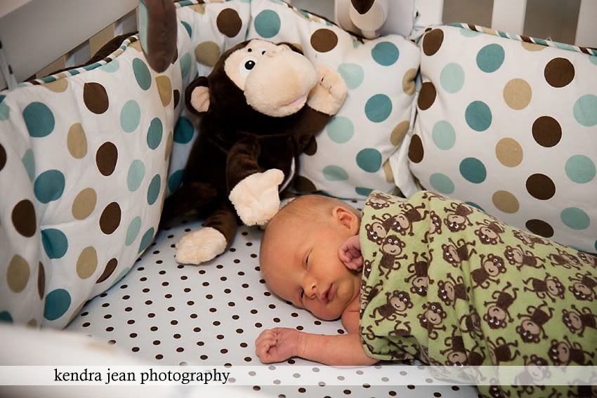 anthem newborn photographer