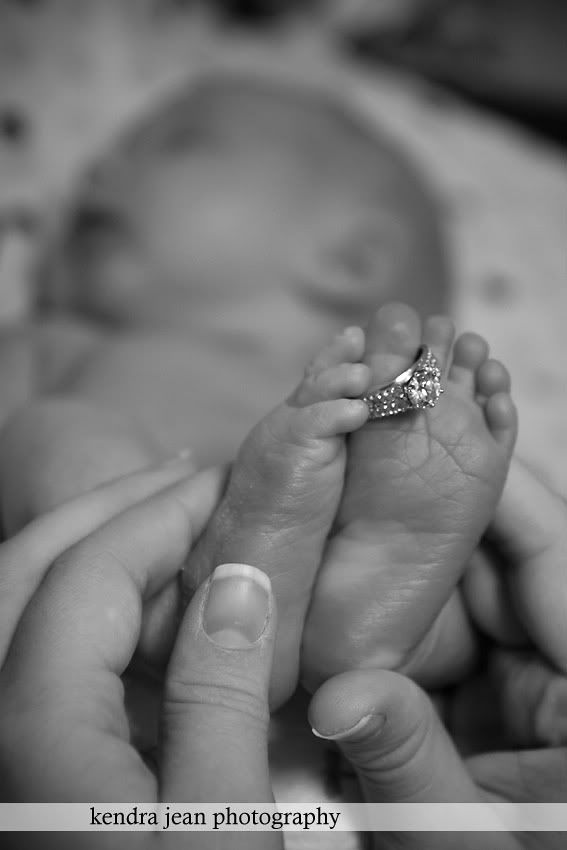 anthem newborn photographer