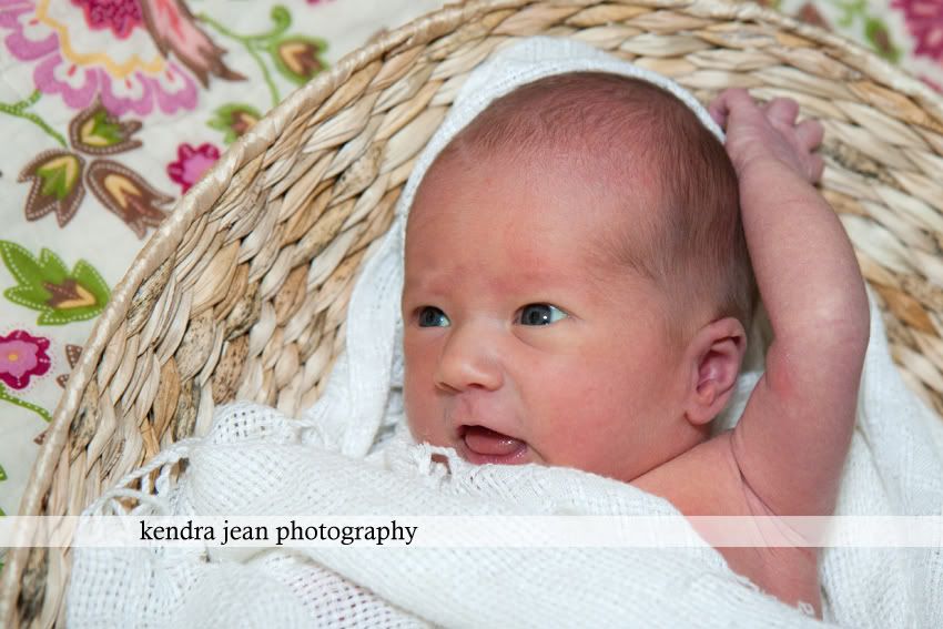 Phoenix newborn photographer