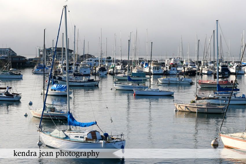 kendra jean photography,monterey