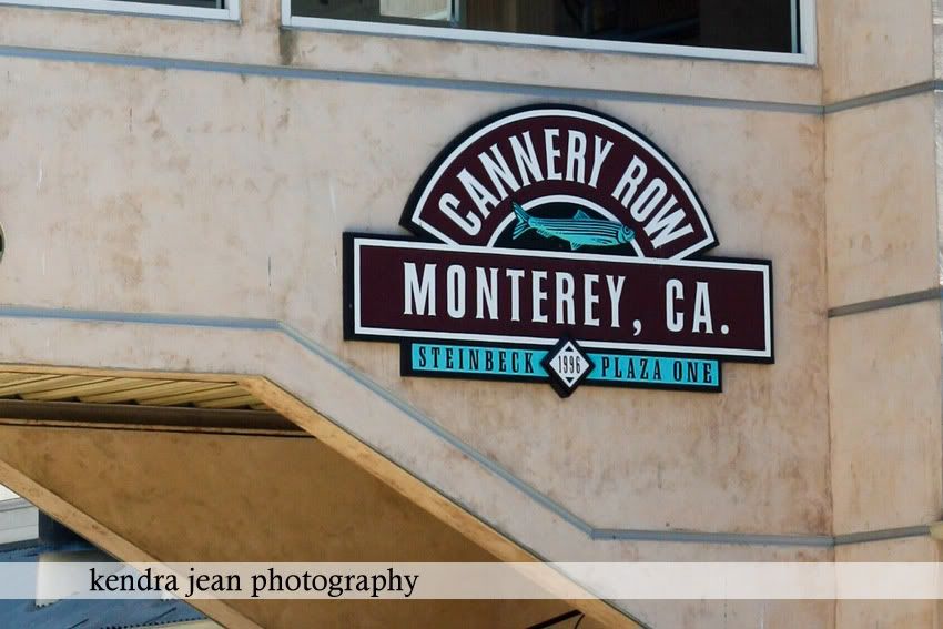 kendra jean photography,monterey