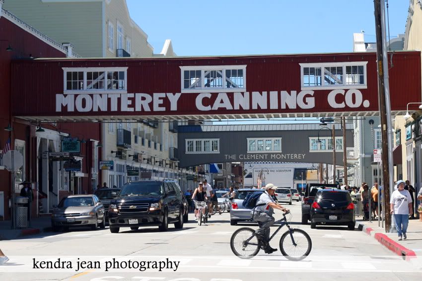 kendra jean photography,monterey