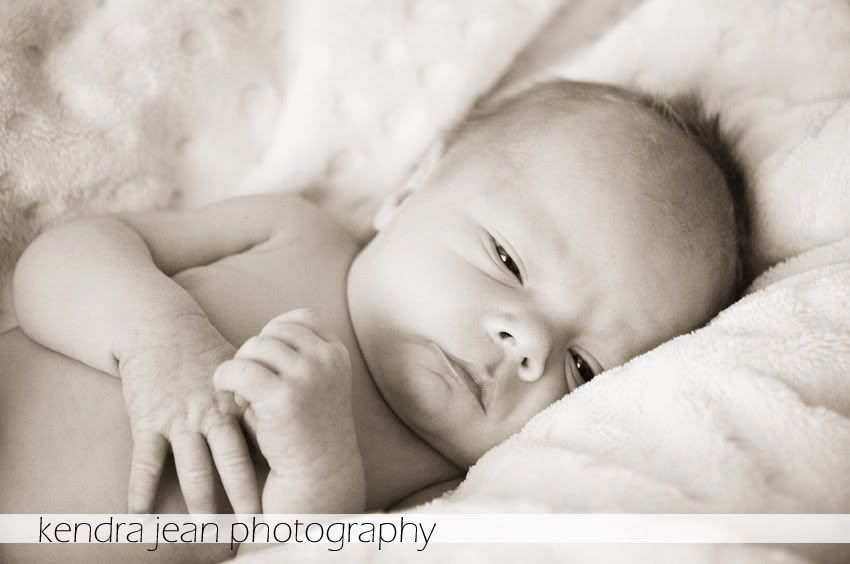 phoenix arizona newborn portraits