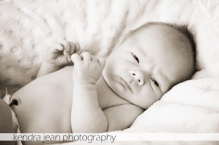 phoenix arizona newborn photography