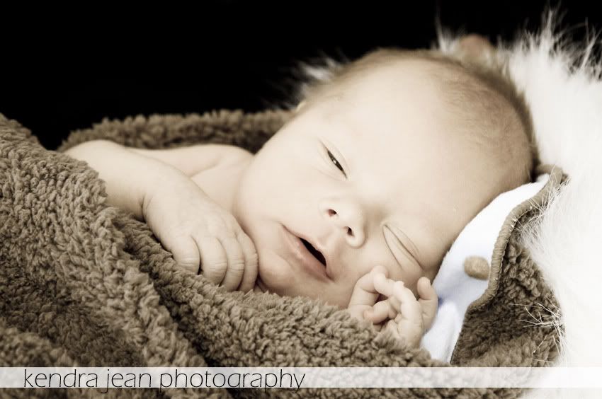 phoenix arizona newborn photography