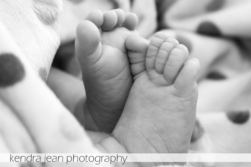 phoenix arizona newborn photography