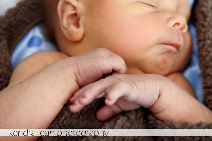 phoenix newborn photographer