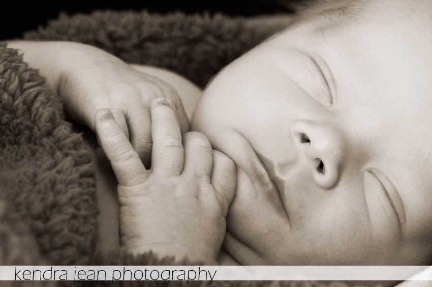 phoenix newborn photographer