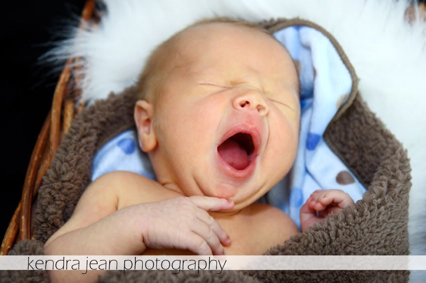 Phoenix arizona newborn photography