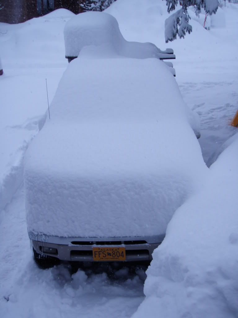 winter09028.jpg