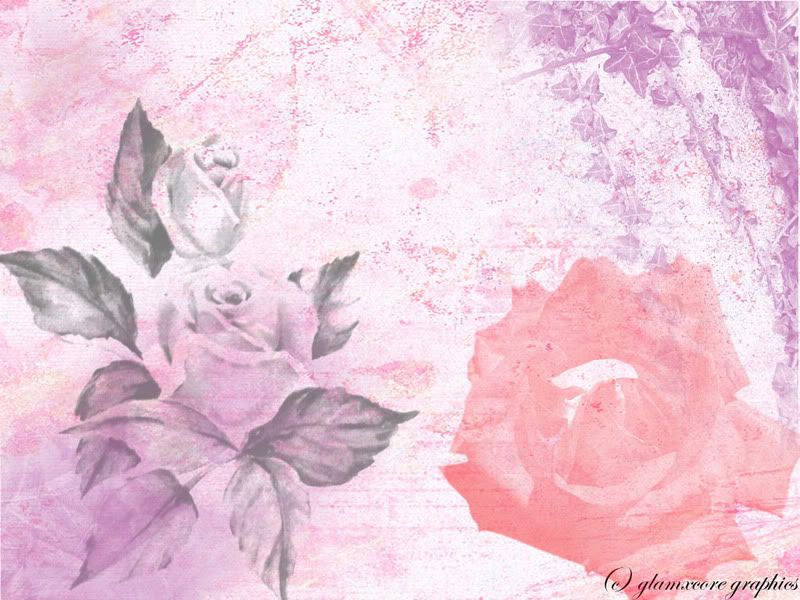 rose wallpaper background. rose wallpaper background.