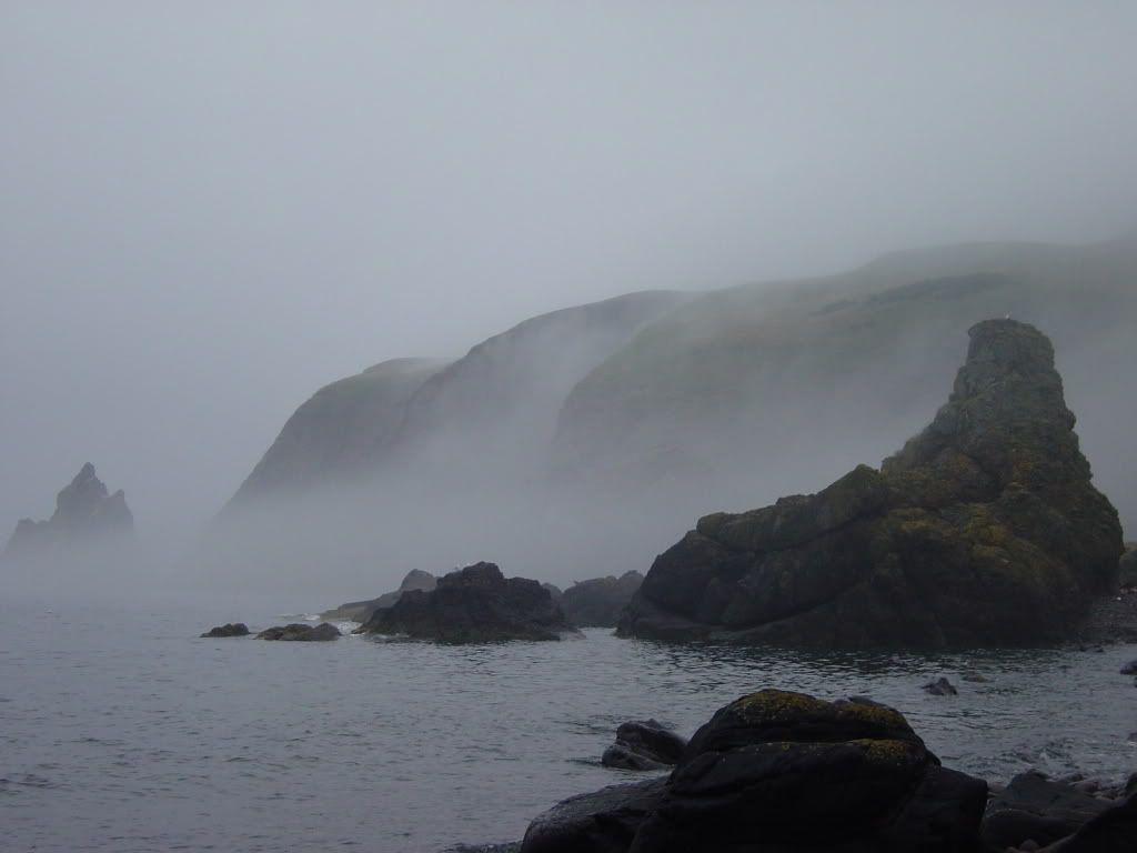 DSC08058-1.jpg